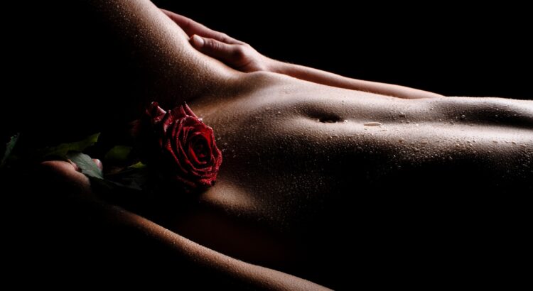 Sinnlicher Körper mit roter Rose | Escort in München